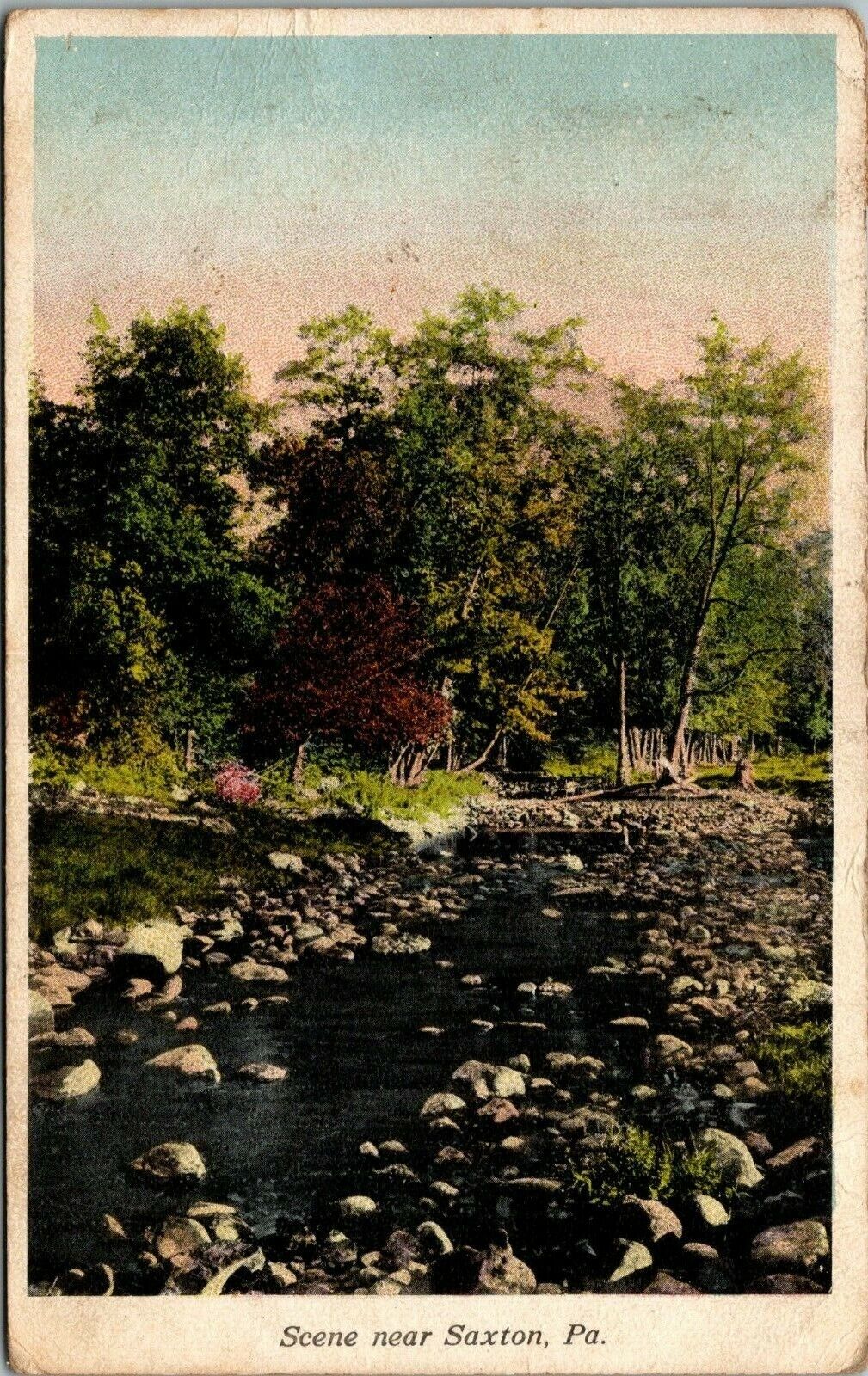 Scene near Saxton Pa.~Stream~Forest~Scenic View~Postcard~Posted 1915