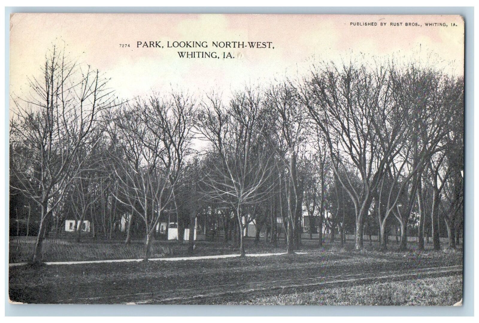 c1910\'s Park Looking North-West Dirt Road Trees Whiting Iowa IA Antique Postcard
