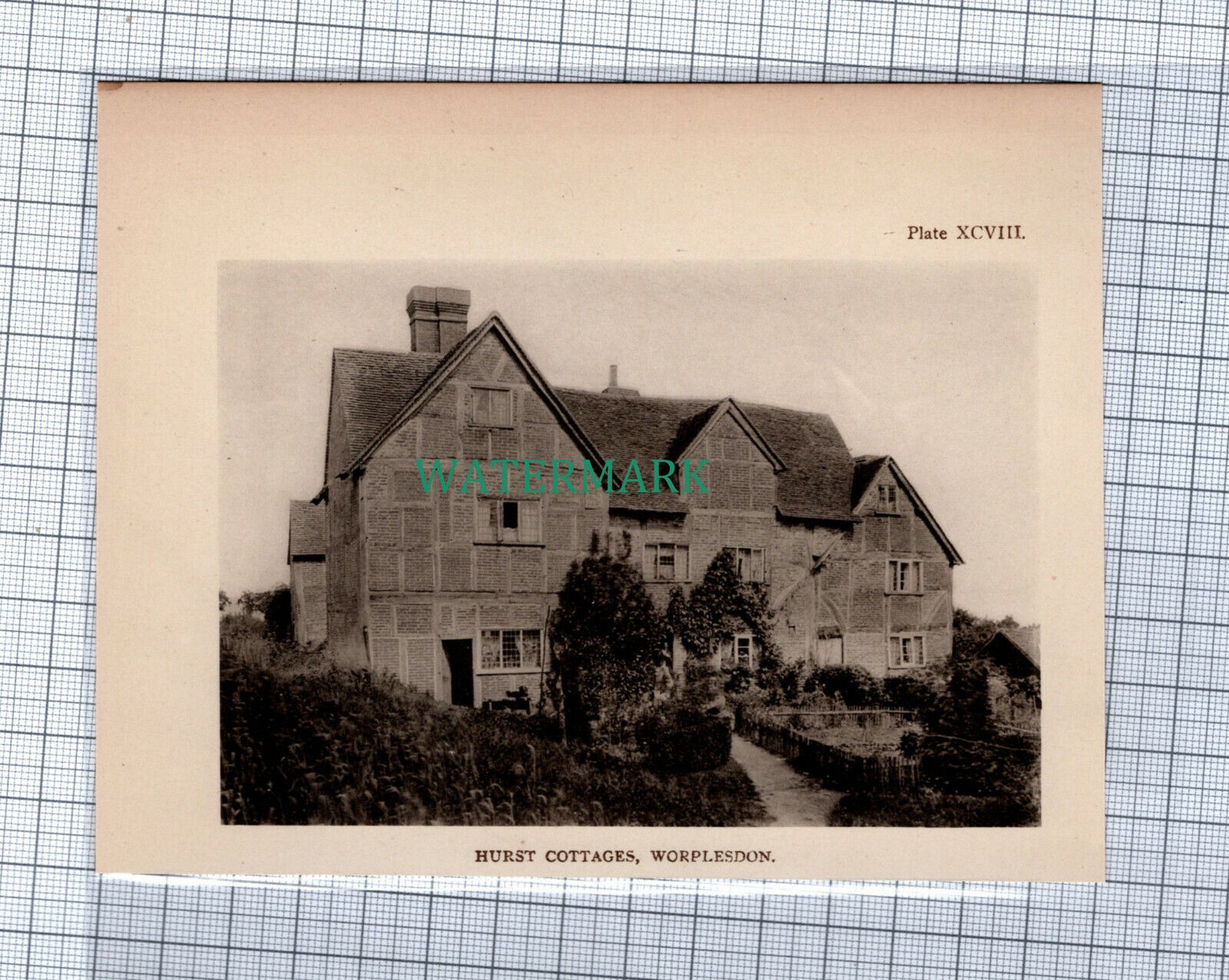 C4564) Hurst Cottages Worplesdon Surrey - 1908 Clip