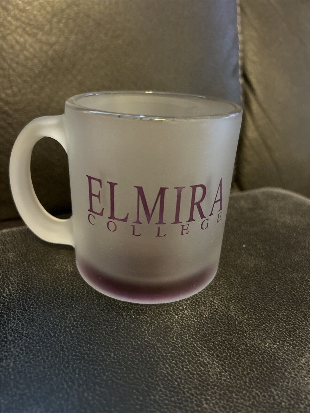 Elmira College Frosted Coffee Cup/Mug