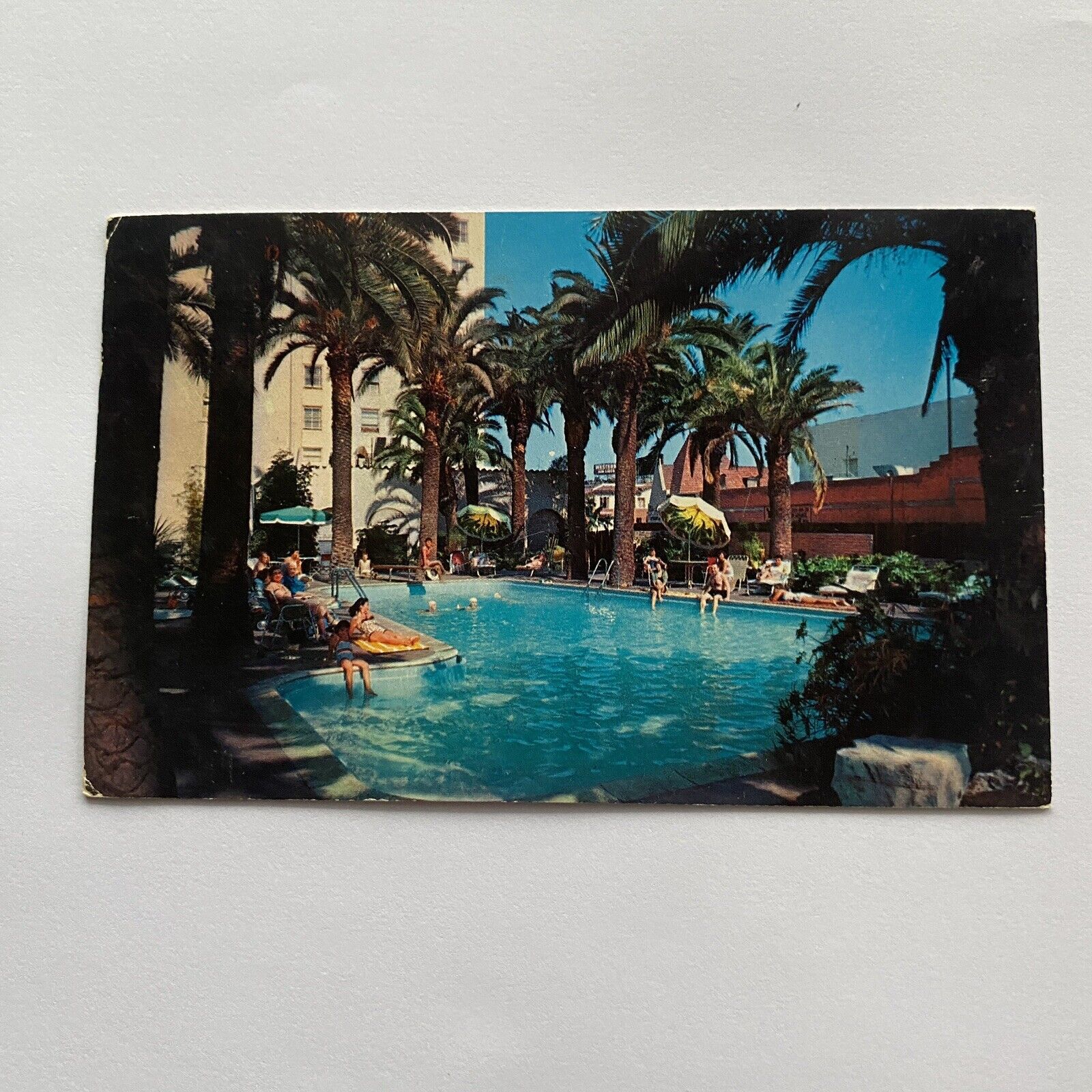 Hollywood Plaza Hotel Pool View Postcard Posted 1958