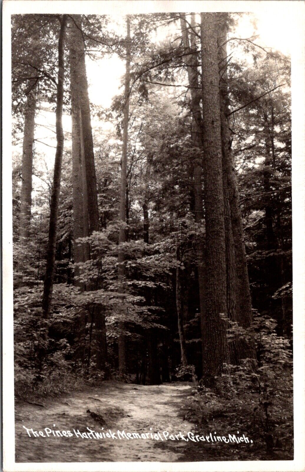 Real Photo Postcard The Pines Hartwick Memorial Park in Grayling, Michigan