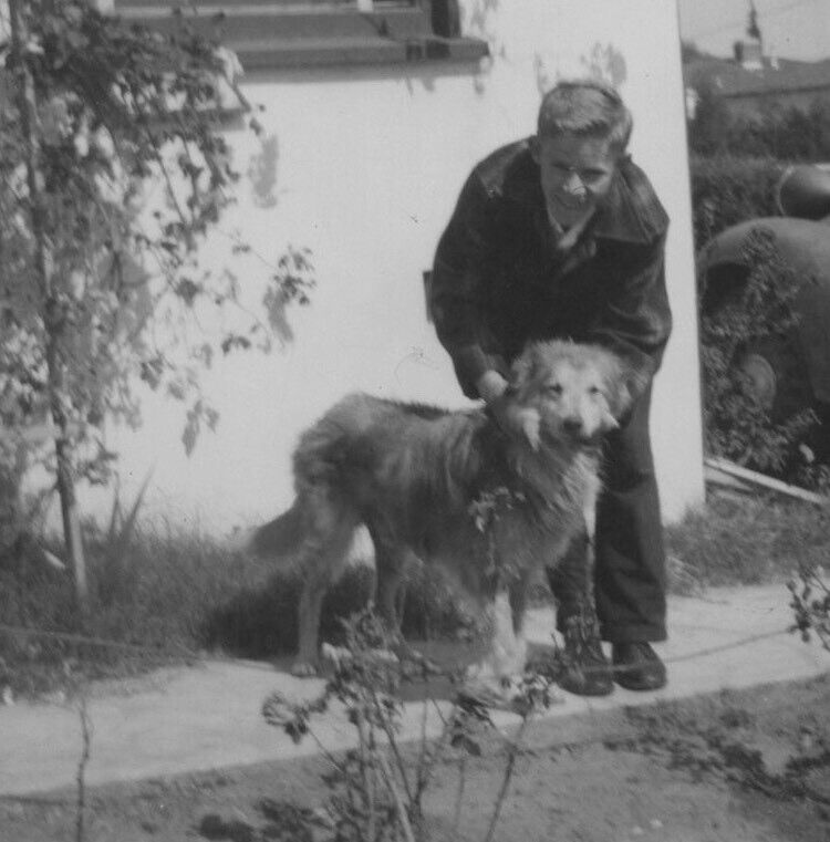 9i Photograph Portrait Boy Pet Dog Puppy 1940-50’s