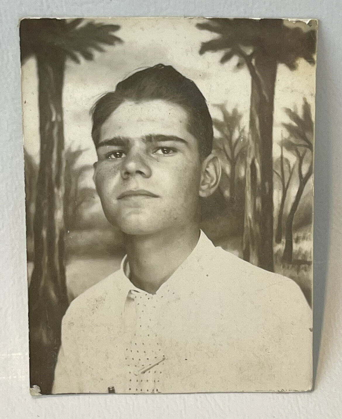 Photo Booth Vintage Photo Handsome Young Gentleman Thick Brows Painted Back Drop