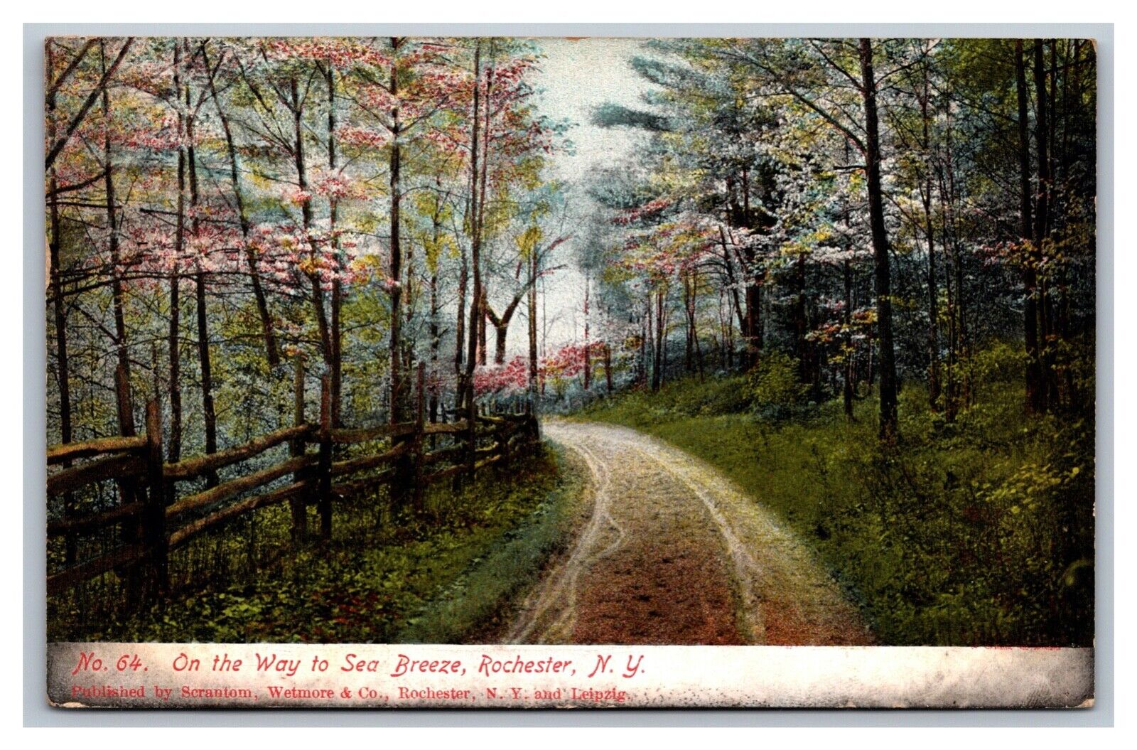 Rochester, NY New York, On the Way to Seabreeze, Postcard Posted 1911