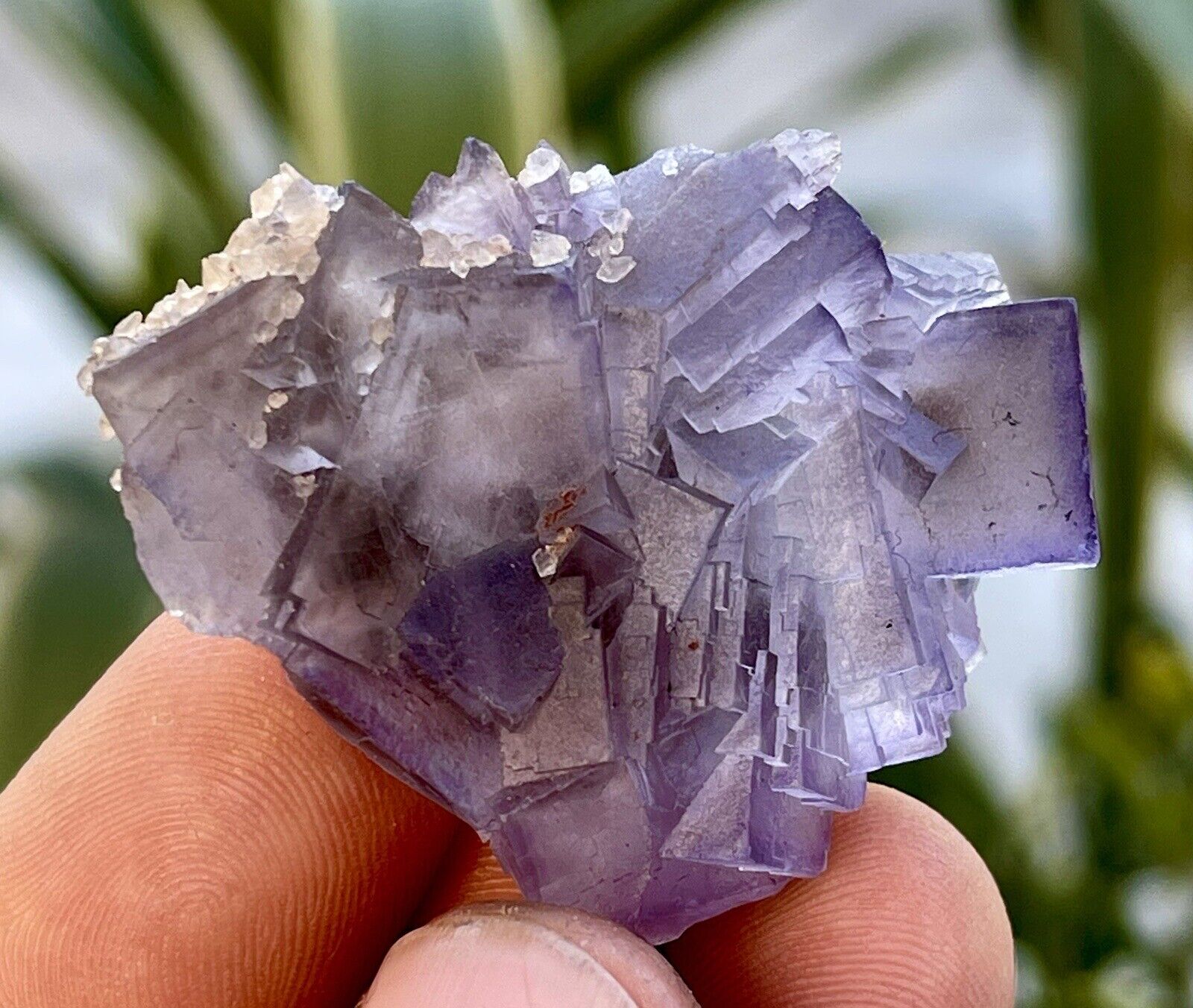 95 CTS Natural purple cubic fluorite mineral crystal specimens