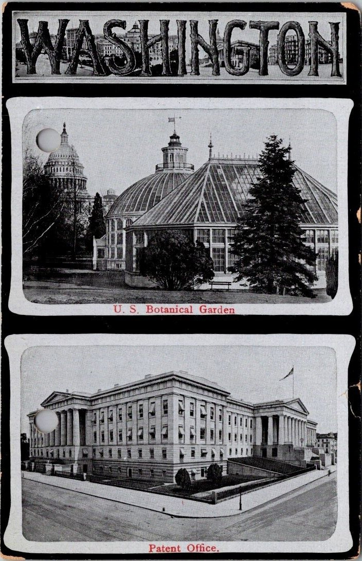 WASHINGTON U. S. Botanical Garden Patent Office.    Vintage Postcard -A20