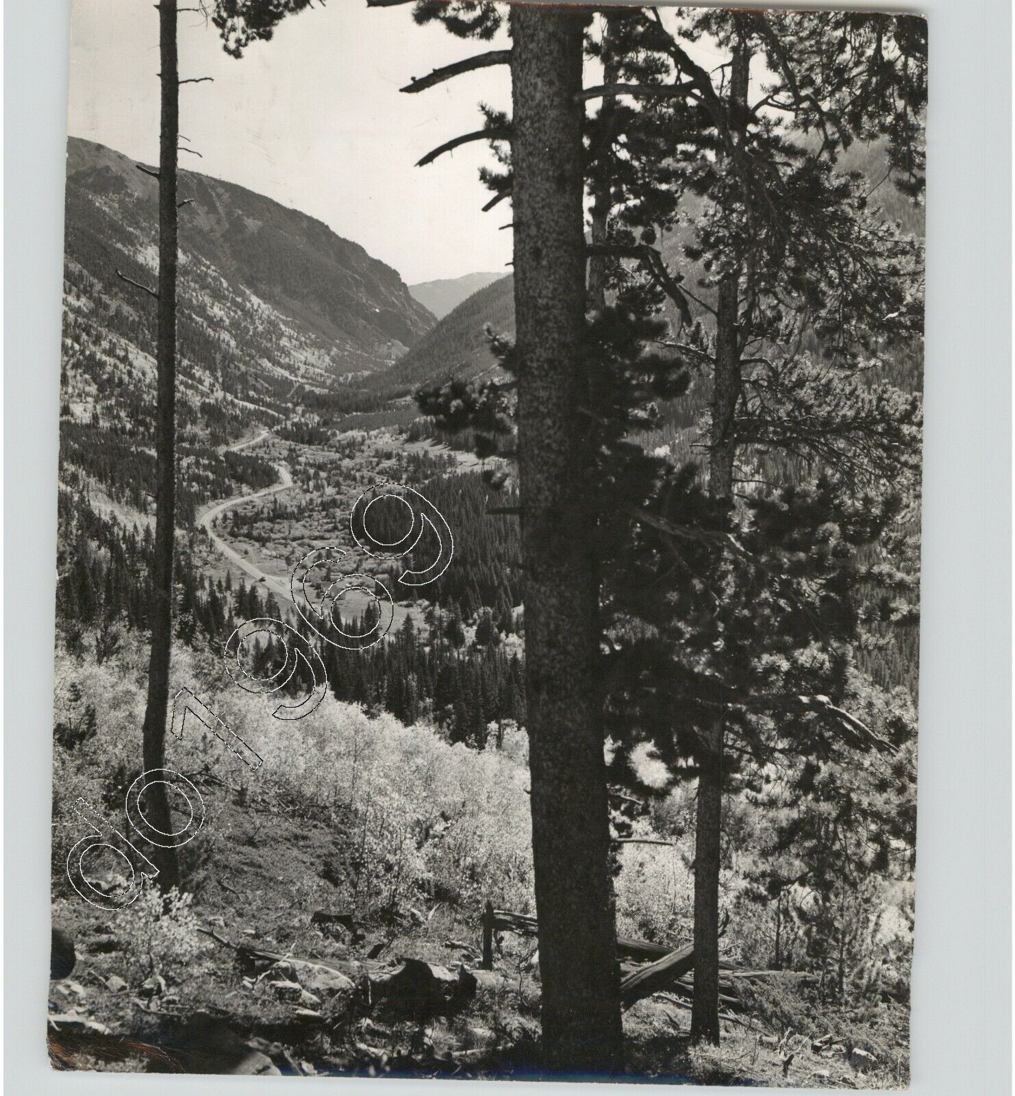 Mountainside View of Winding Road in COLORADO American West 1950s Press Photo
