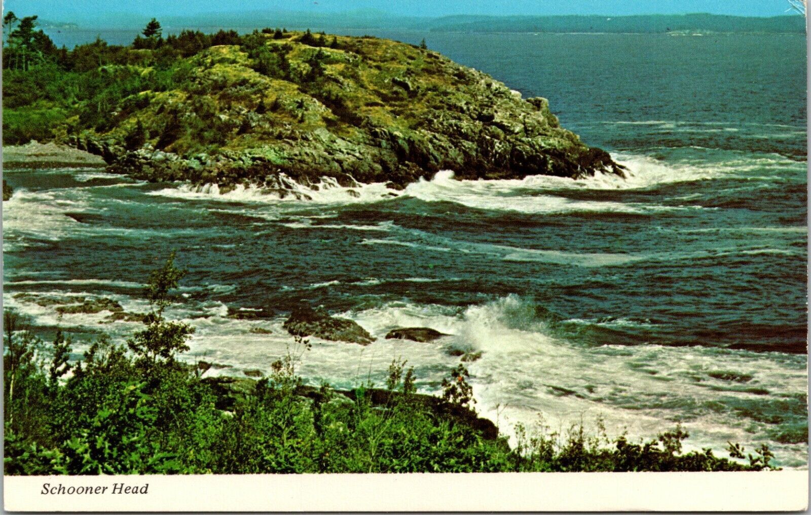 Schooner Head Acadia National Park Bar Harbor Maine Postcard