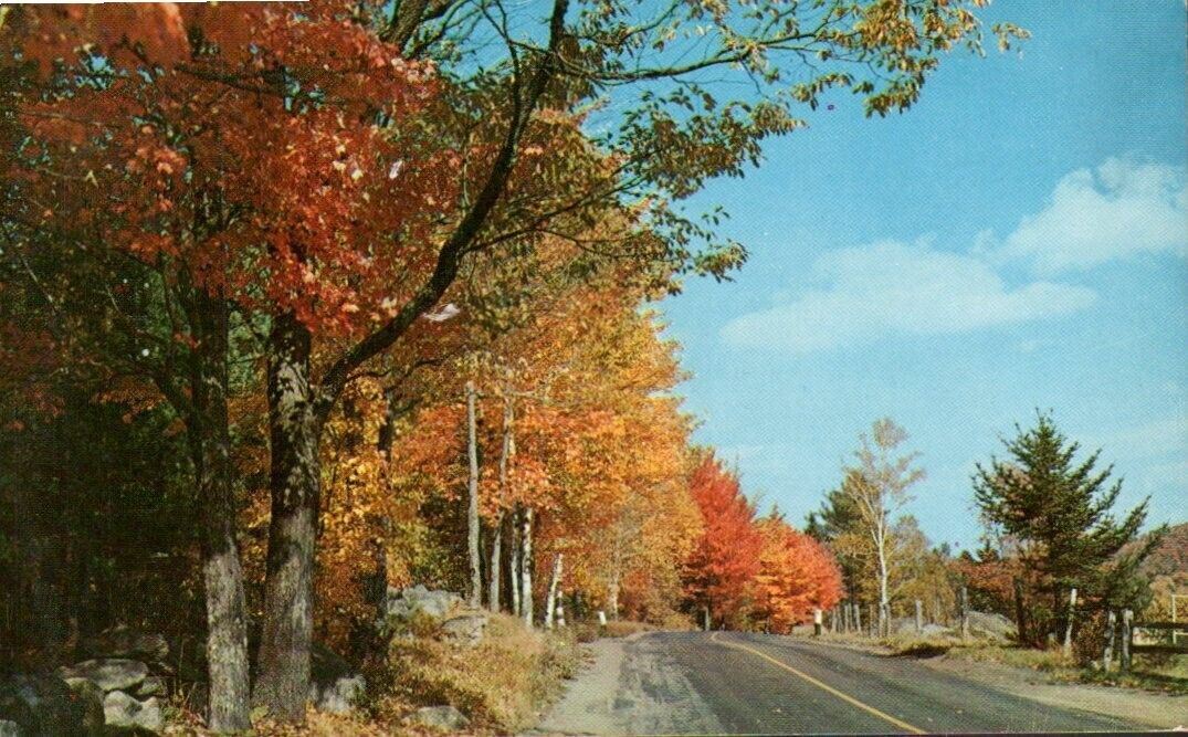 Postcard - Greetings from Greeley, Pennsylvania Autumn Scene Posted 1963  2247