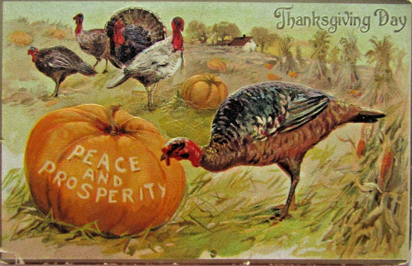 Tuck\'s Art Post Card Series #161 Thanksgiving Day c1900s  Embossed Postcard C05