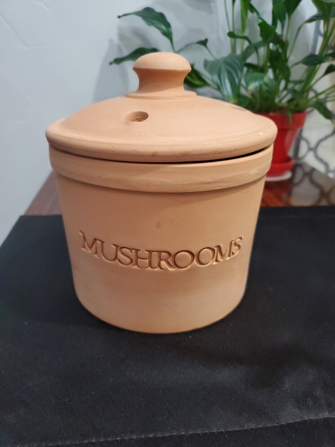 Vtg Italian Terracotta Mushroom Crock With Lid Kitchen Jar Bentson West Cottage