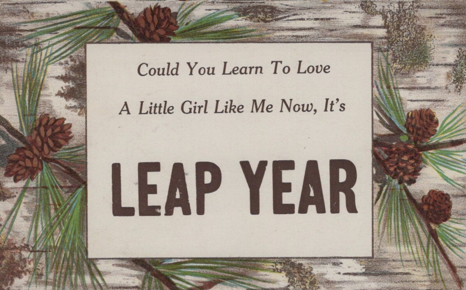Postcard -  2024 is a LEAP YEAR  -  Love a Little Girl Like Me 1912 PC