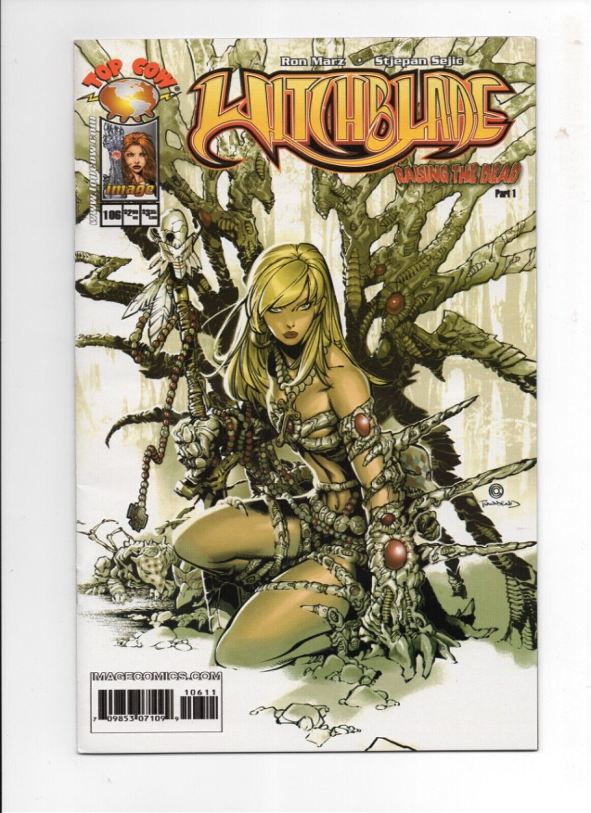 WITCHBLADE #106 Cover A by Chris Bachalo Image Comics 2007