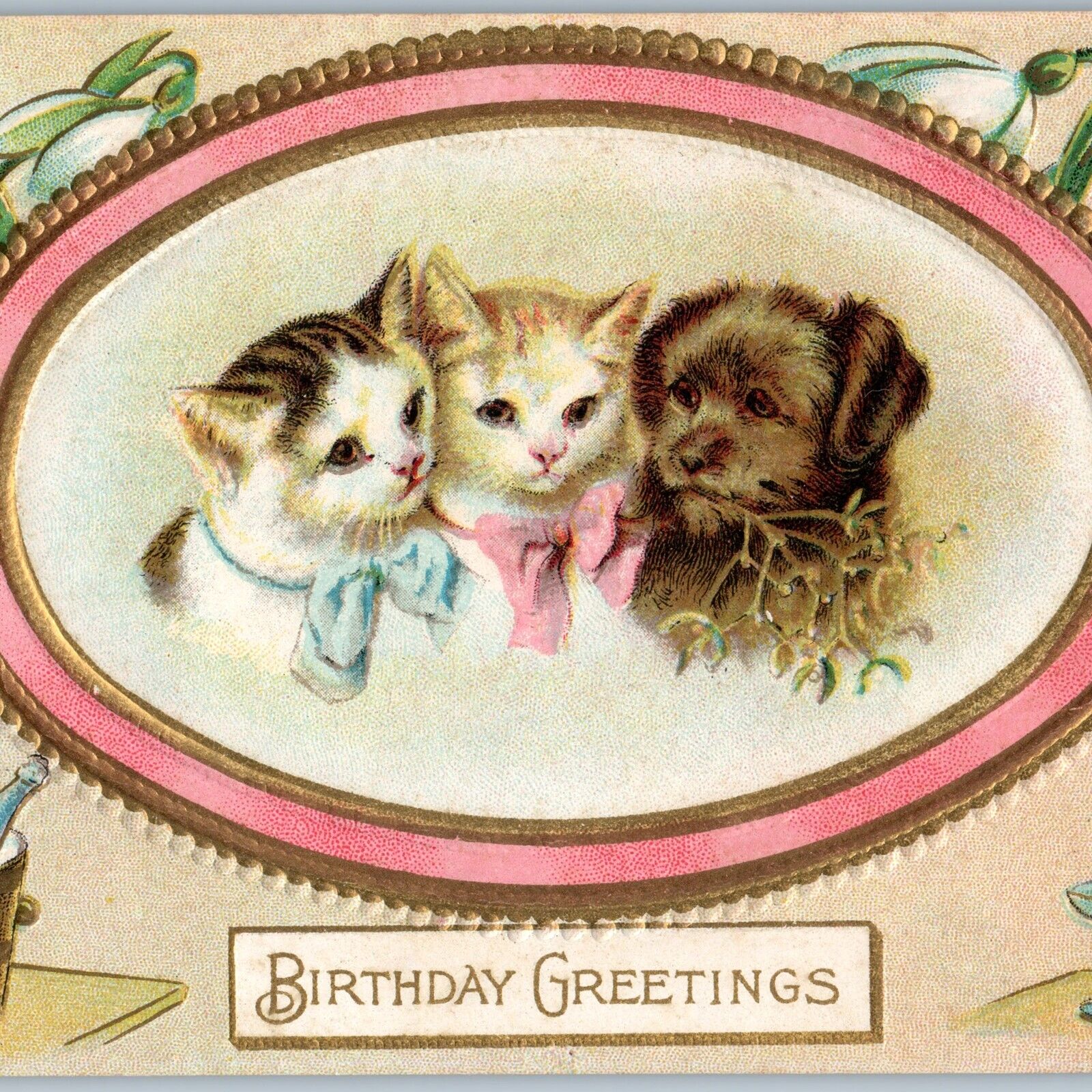 c1910s Adorable Kittens and Puppy Birthday Greetings Embossed Champaigne A190