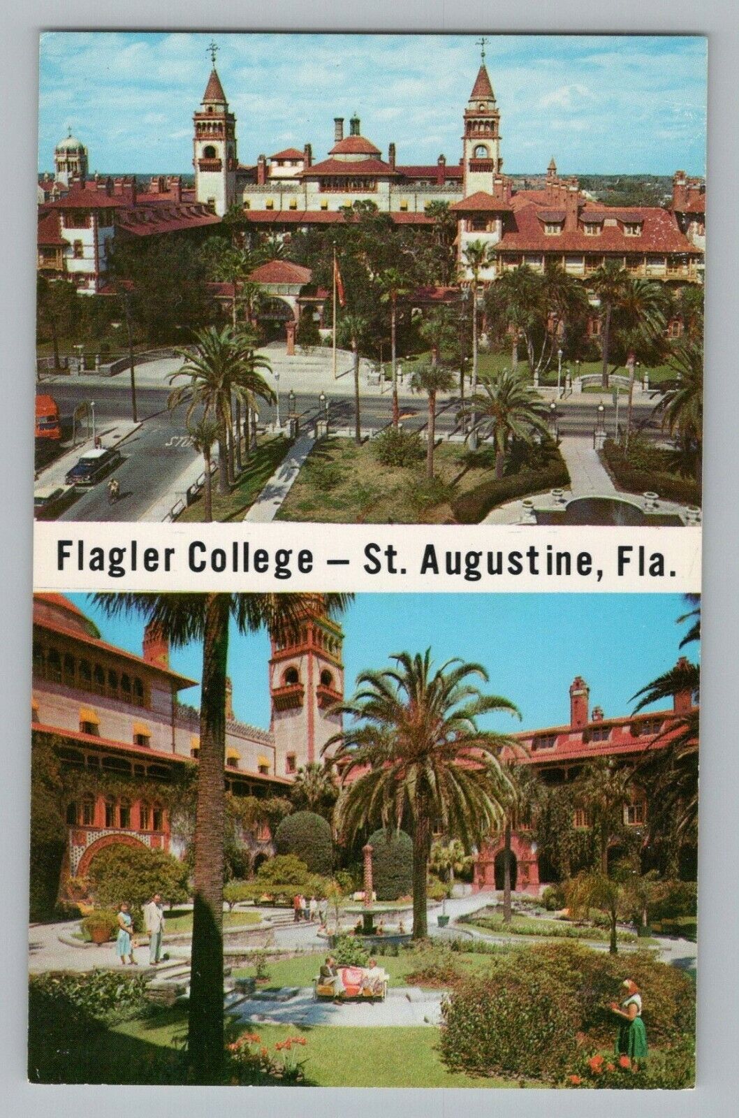 St. Augustine Florida FL Flagler College Chrome Postcard 1950s