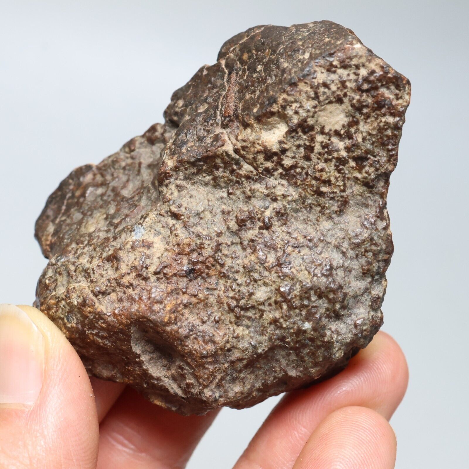 114g NWA natural Unclassified Chondrite meteorite J232