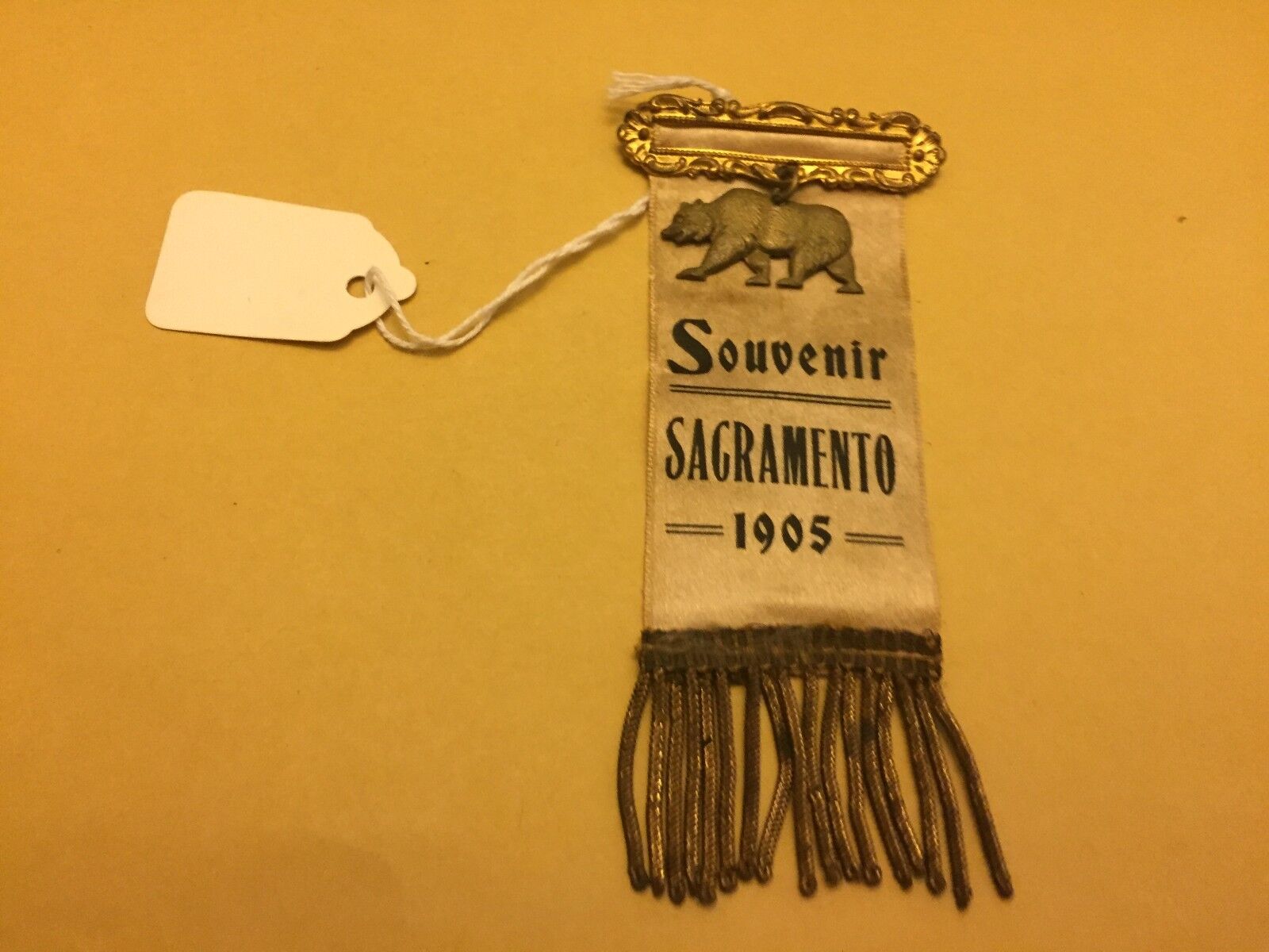 Vintage 1905 Souvenir Sacramento E-6