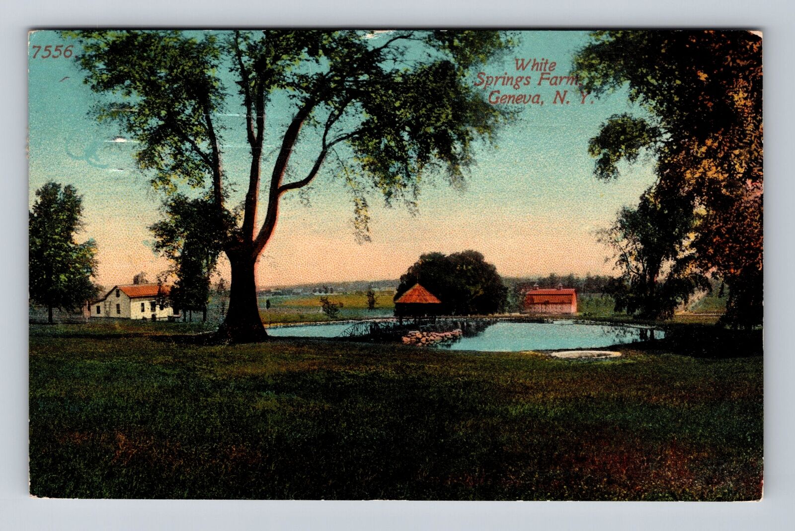 Geneva NY-New York, Scenic View White Springs Farm, Antique Vintage Postcard