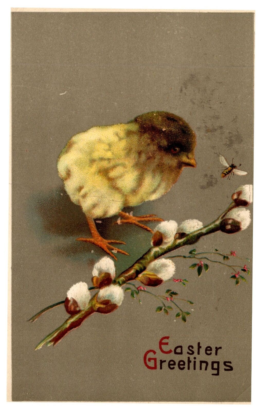 Antique Postcard Easter Chick Nature Animal 1911 Germany