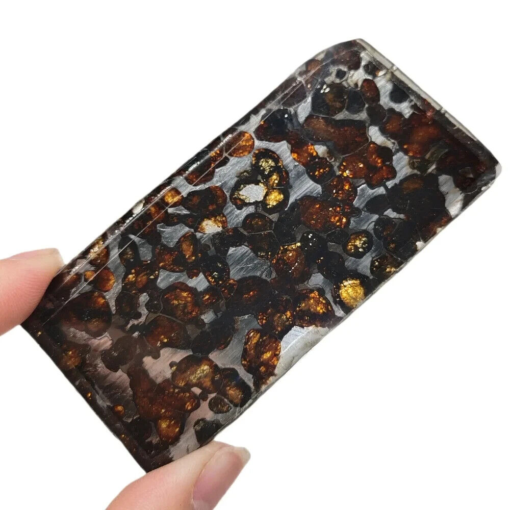 32.3g SERICHO pallasite Meteorite slice - from Kenya QA461
