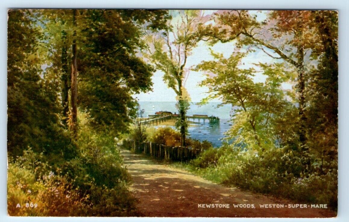 Kewstoke Woods Weston-Super-Mare UK Postcard