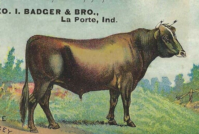 AJ-306 IN, La Porte Geo I Badger Bro Jersey Bull Pedro Victorian Trade Card