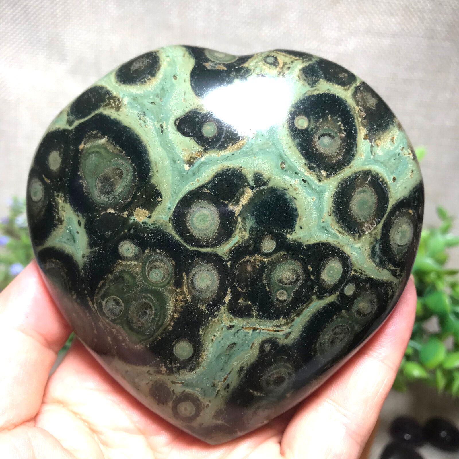 381g Eye Green Kambaba Jasper Stromatolite Crystal Heart Specimen Healing  06