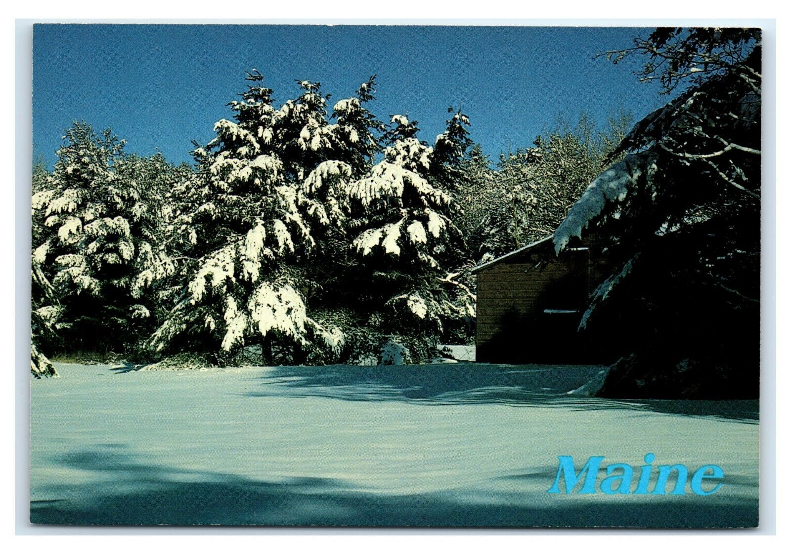 Postcard Winters Fresh Blanketing of Snow by Nance S Trueworthy, Maine ME K11