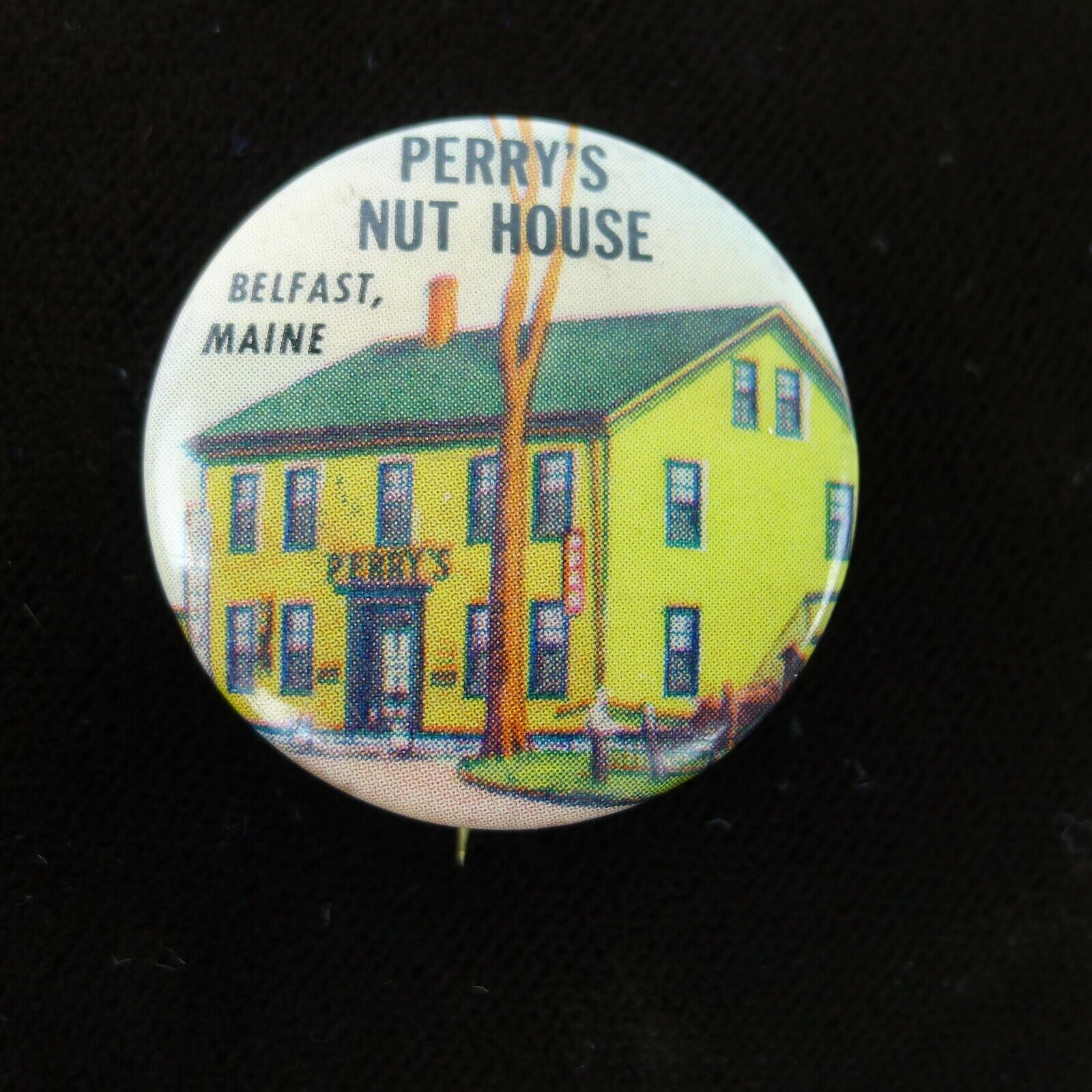 Vintage Perry\'s Nut House Pin Back Button 1.25 Inch Belfast Maine Souvenir Rare