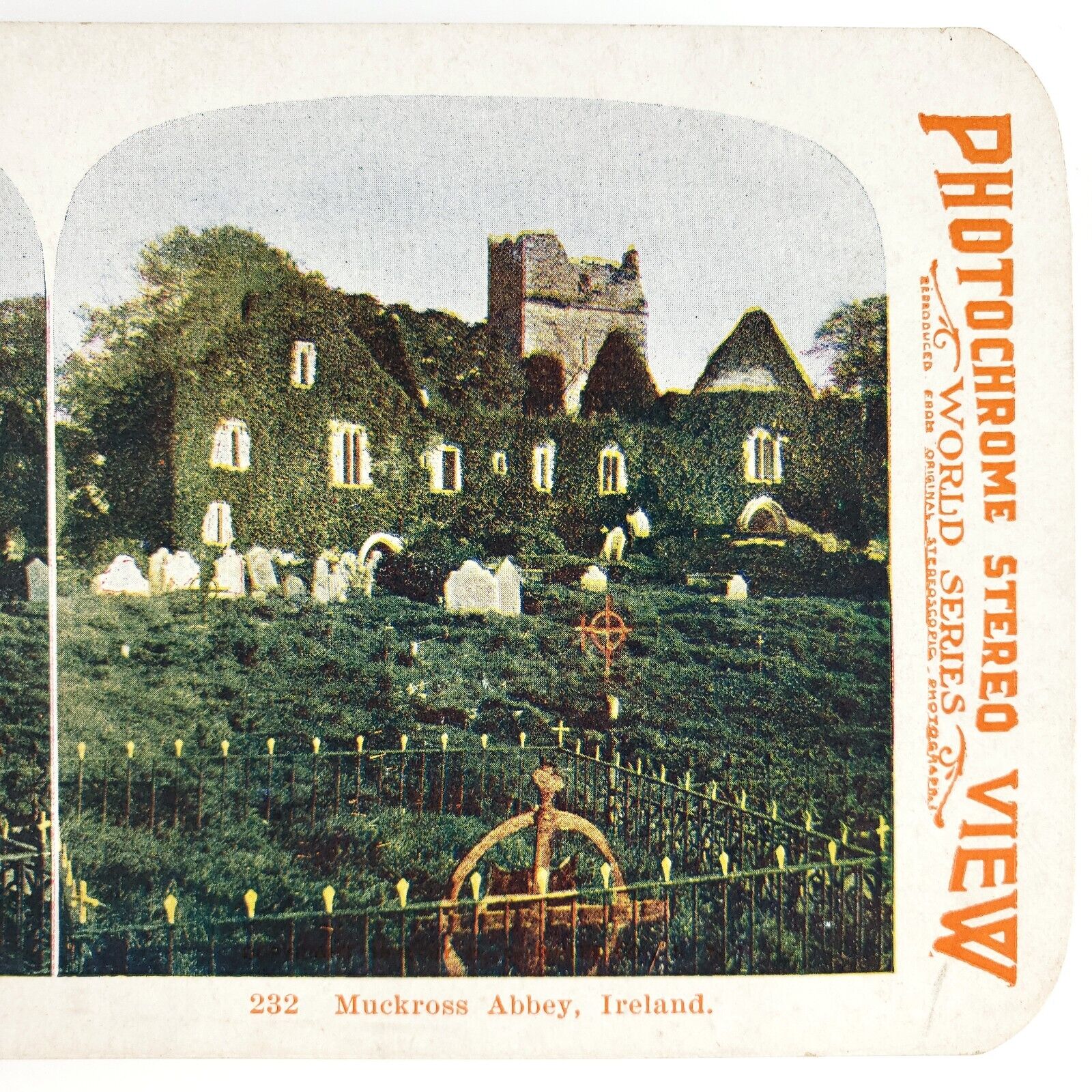 Kerry Ireland Muckross Abbey Stereoview c1905 Photochrome Irish Graveyard H1064