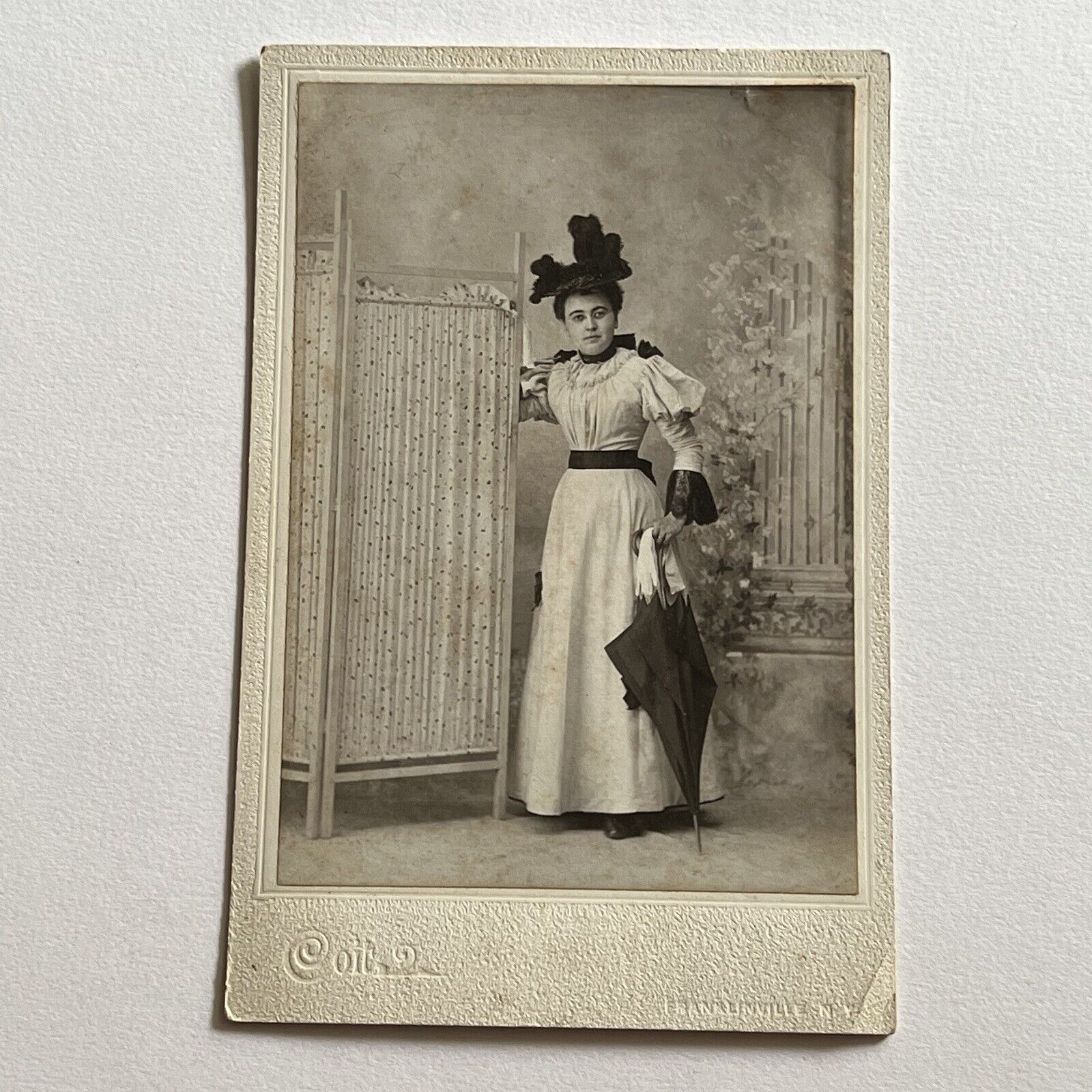 Antique Cabinet Card Photograph Beautiful Fashionable Woman Hawkinsville NY