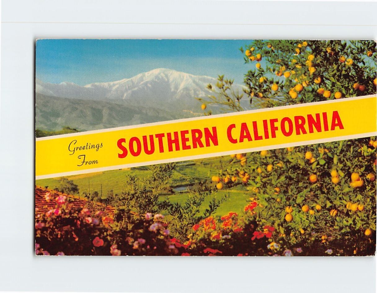 Postcard Winter in Southern California Greeting Card