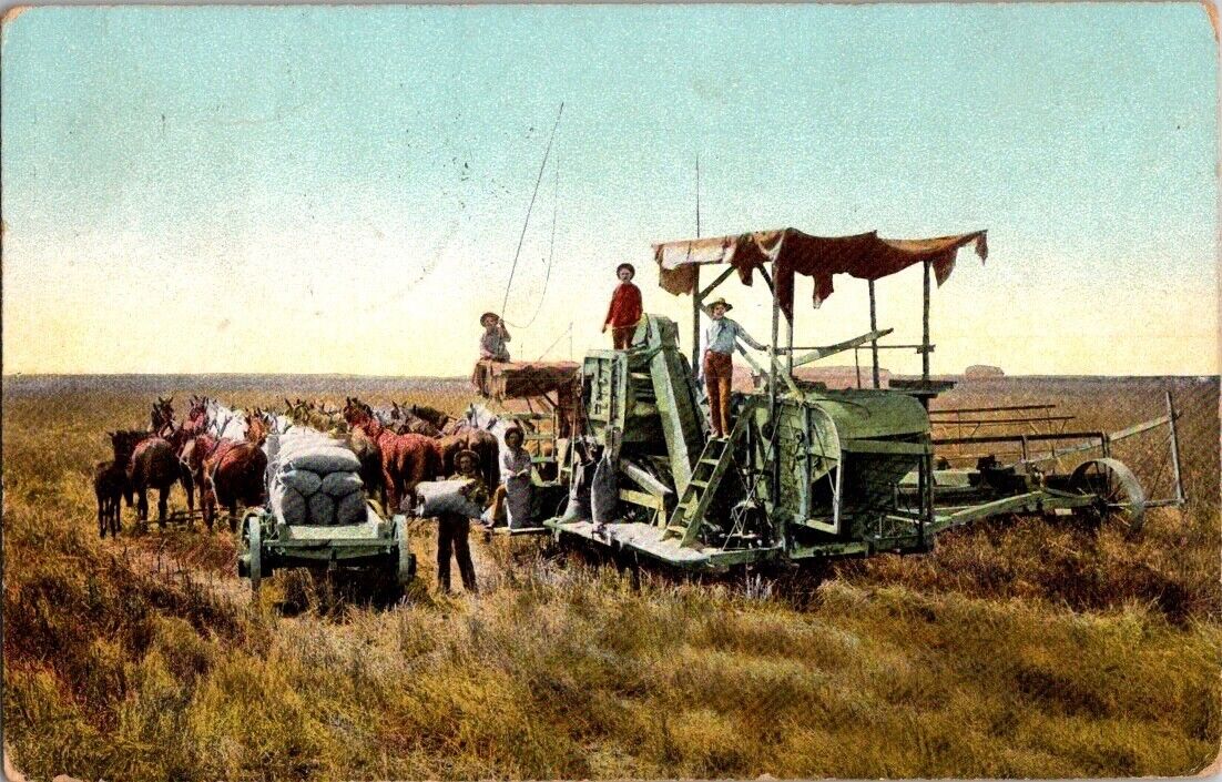 Antique Harvesting in Fresno County California Farm Equipment Postcard