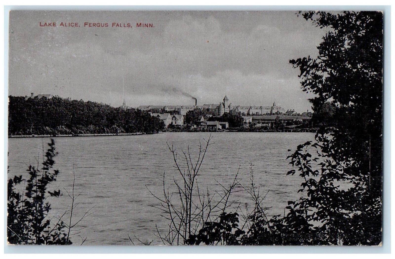 1907 Lake Alice Scenic View Fergus Falls Minnesota MN Posted Trees Postcard