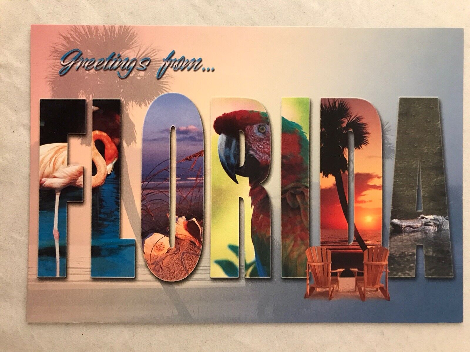 Greetings from Florida Postcard New Large Letter