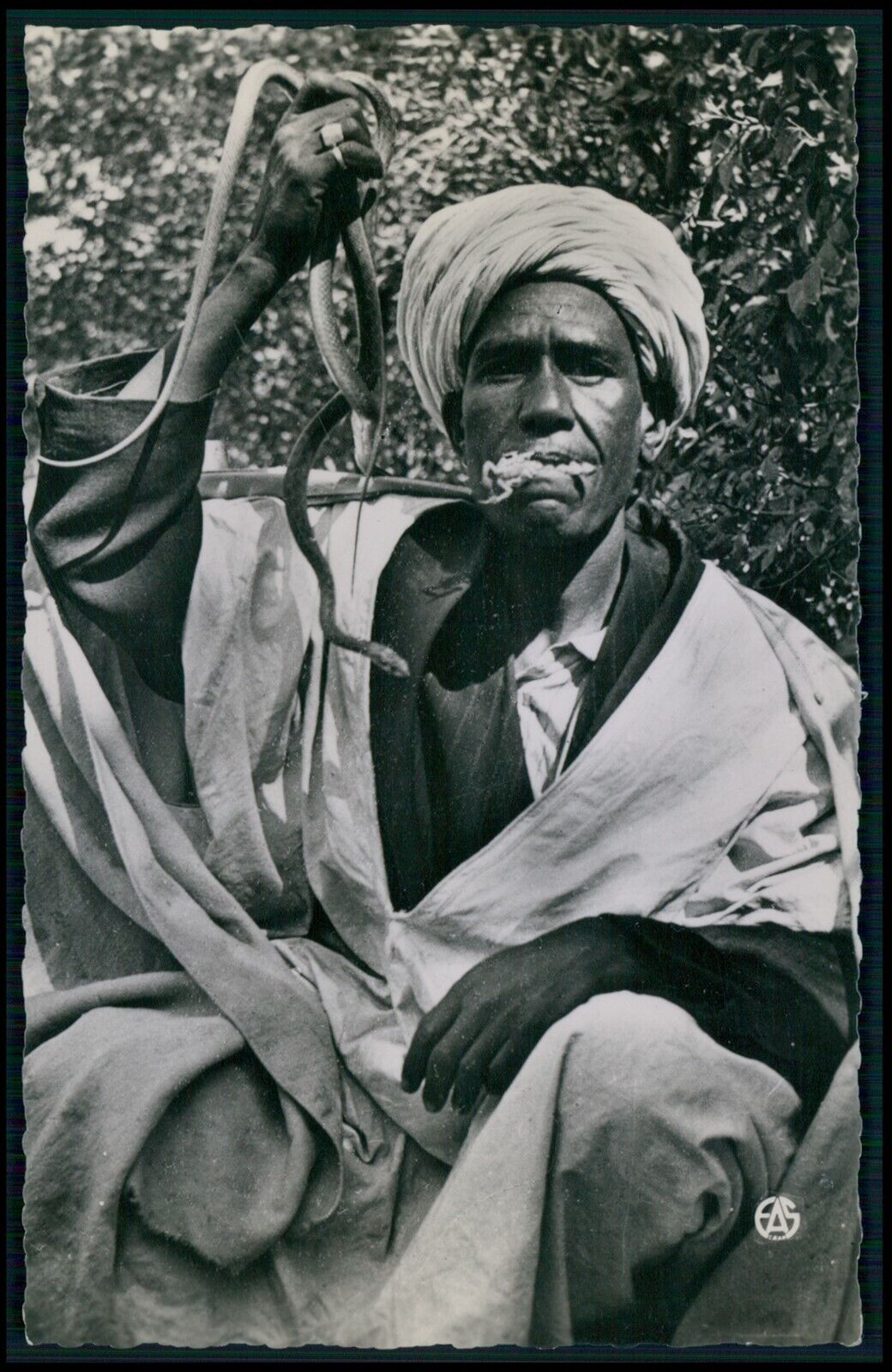 Ethnic arab North Africa snake charmer original c1930s photo postcard