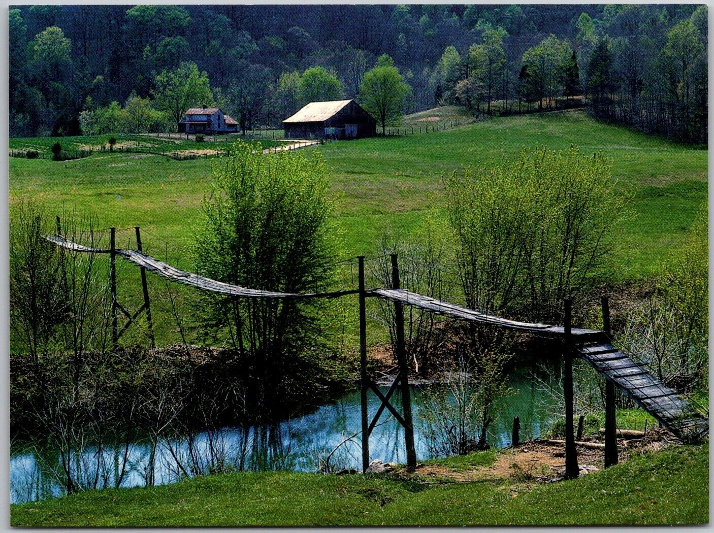 Postcard: Swinging Bridge, Eastern Kentucky A176