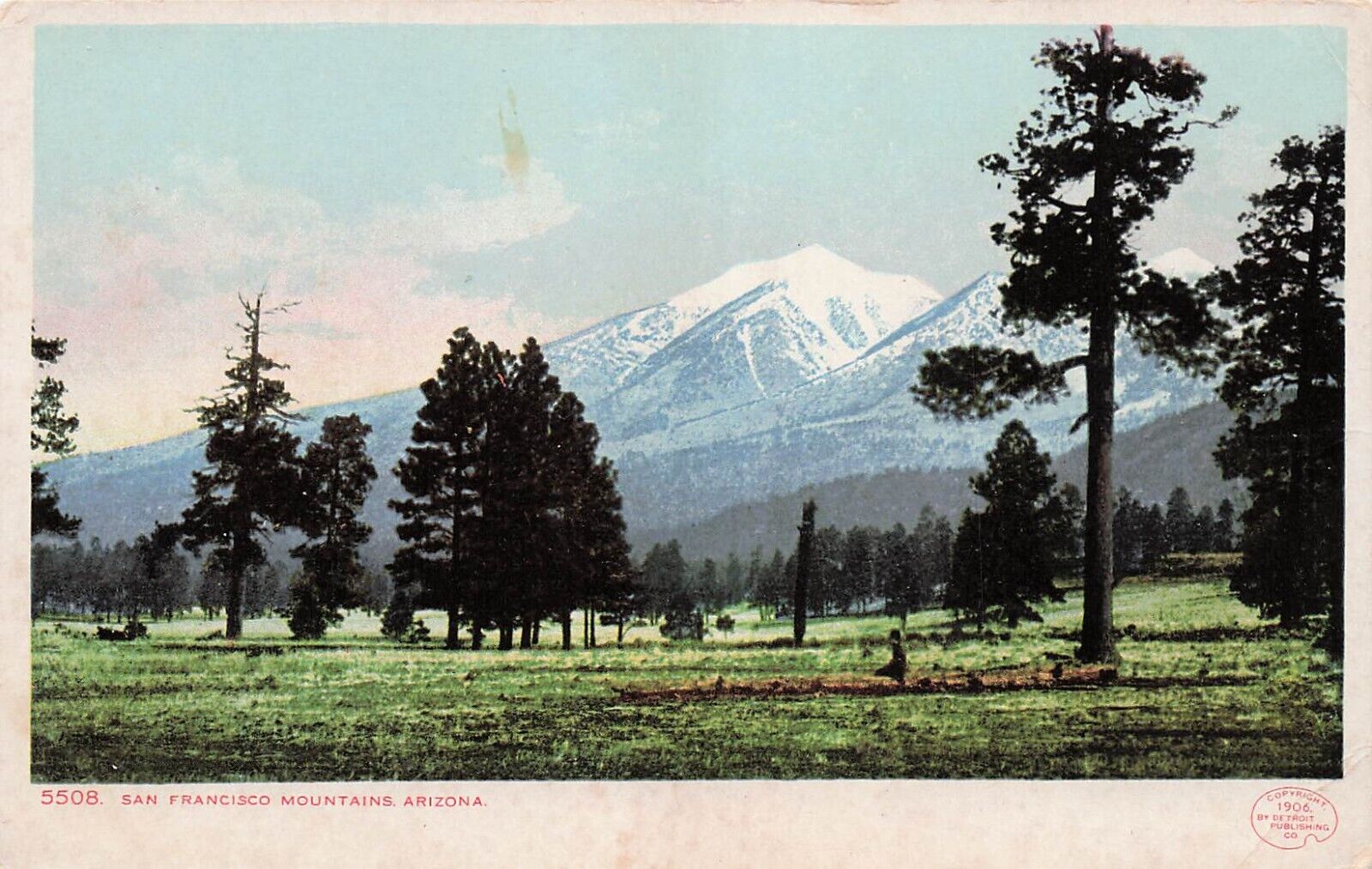 Flagstaff AZ Arizona San Francisco Mountains 1906 Vtg Postcard D64