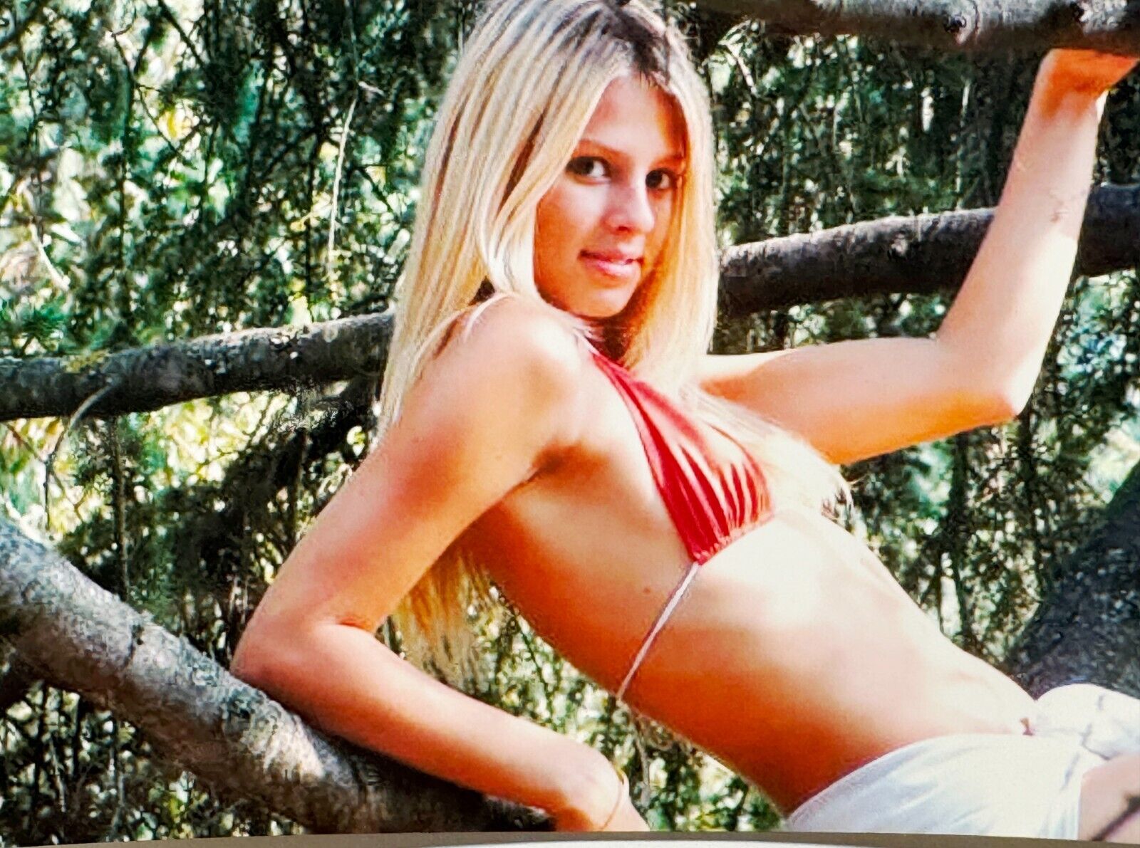 2000s Young Pretty Blonde Woman Bikini Lying on Tree Vintage Photo