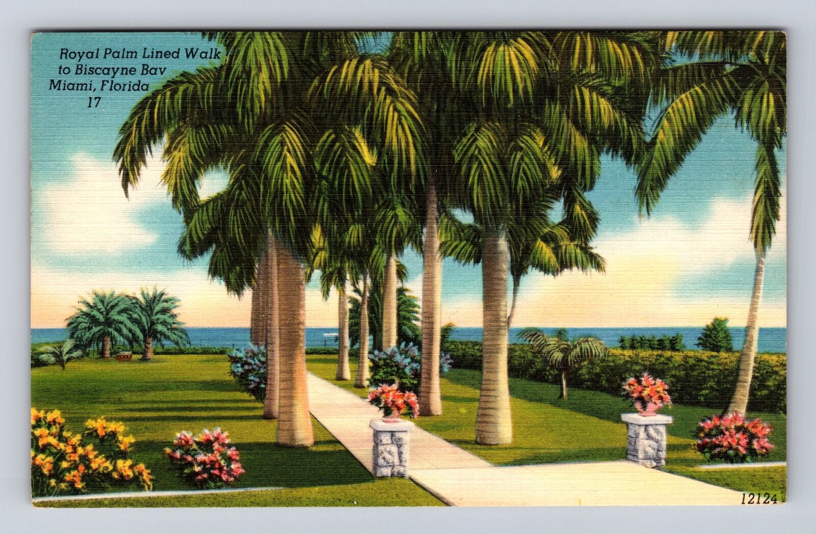 Miami FL-Florida, Royal Palm Lined Walk, Antique, Vintage Souvenir Postcard