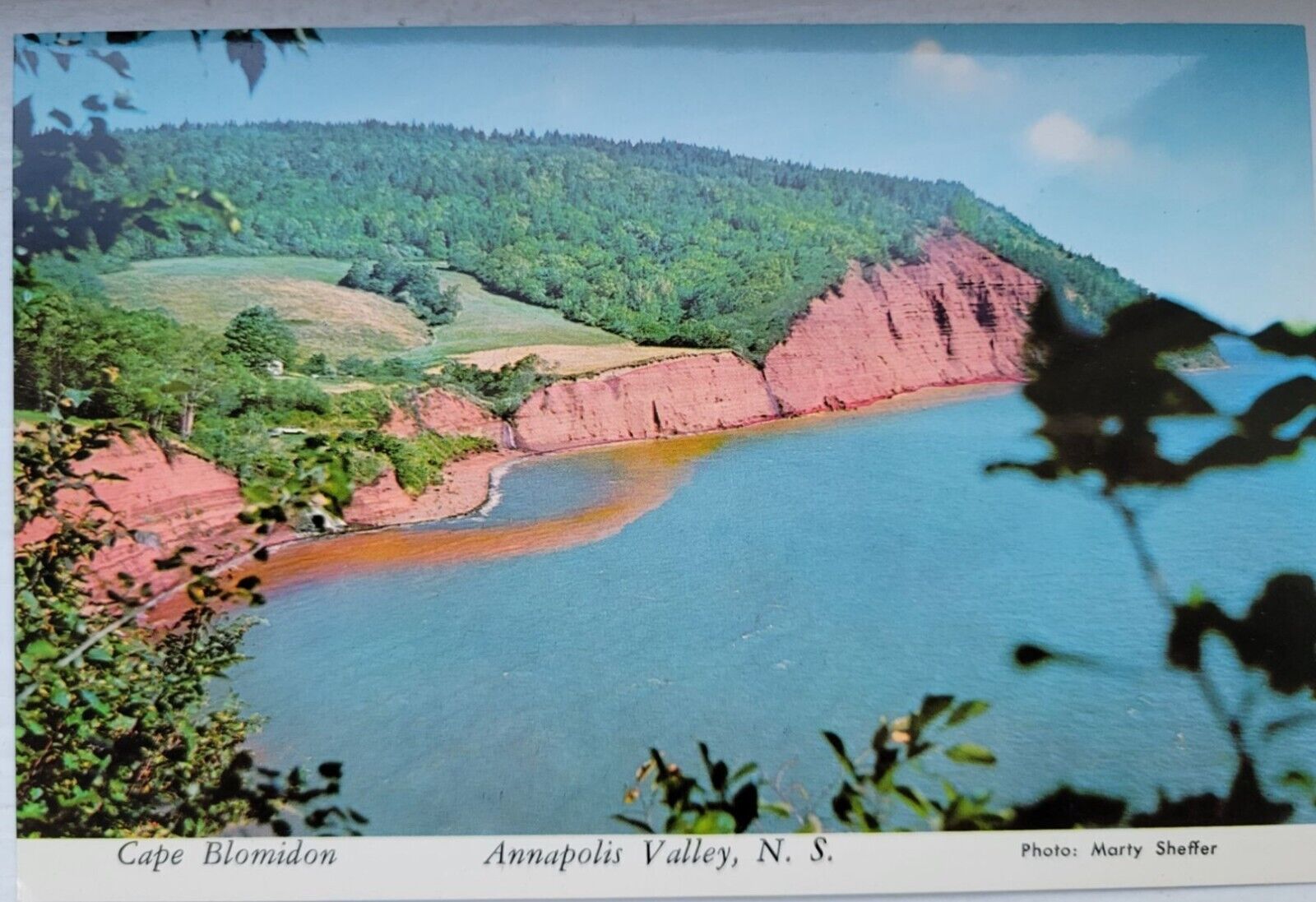 Cape Blomidon Annapolis Valley Nova Scotia Canada Postcard 4X6 Unposted Chrome