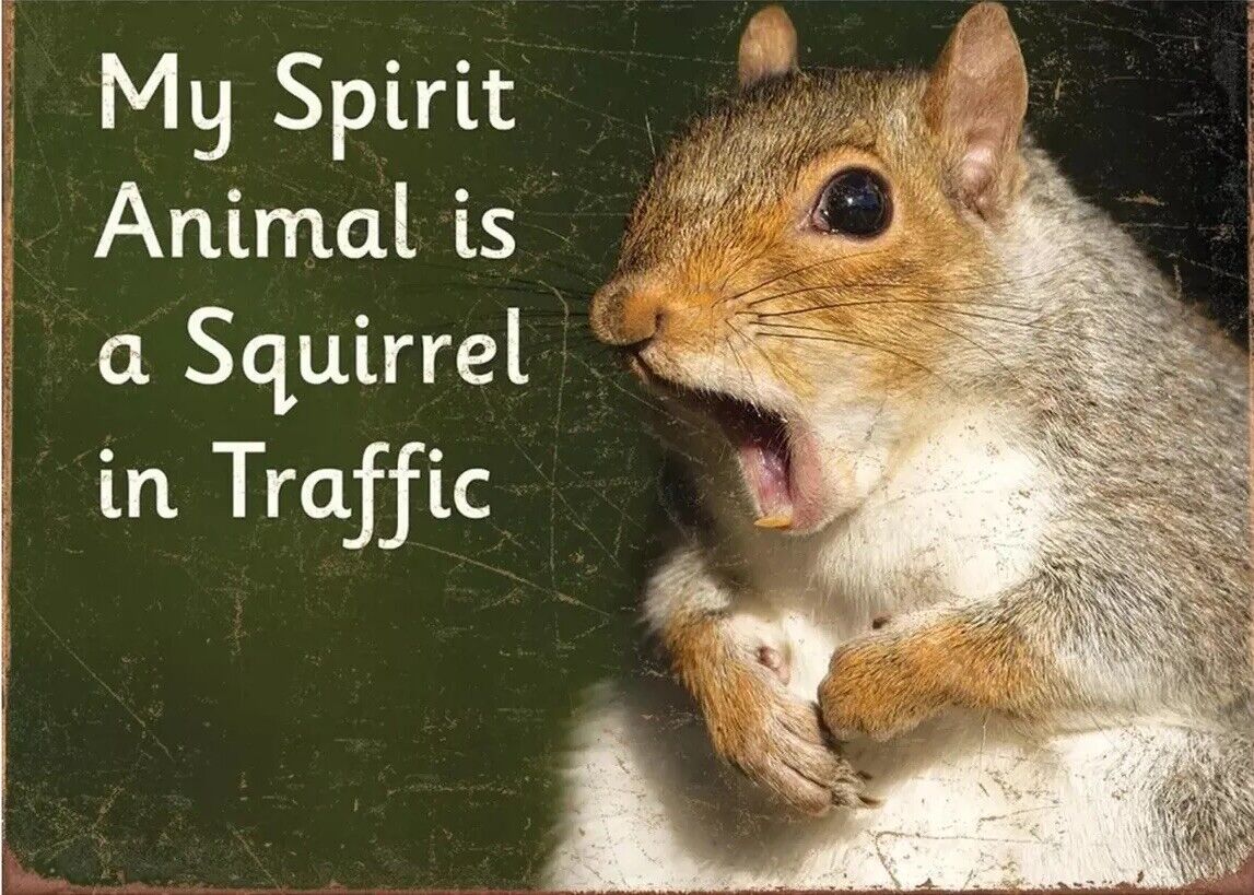 “My Spirit Animal Is A Squirrel In Traffic”~Tin/Metal Sign~Funny~FREE SHIPPING
