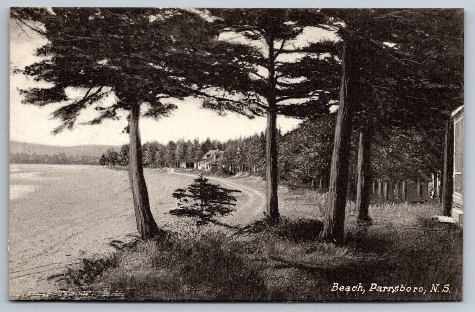 Tree Lined Beach Scene in Parrsboro, Nova Scotia Postcard