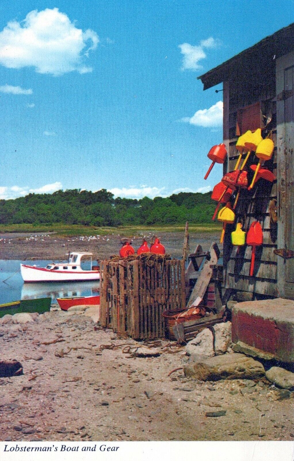 Lobsterman's Boat And Gear With Hungry Seagulls On Shore Chrome Vintage Postcard