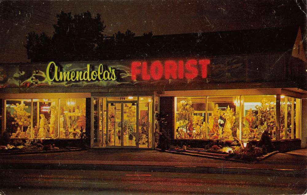 Franklin Square New York Amendolas Florist Exterior Vintage Postcard K20727
