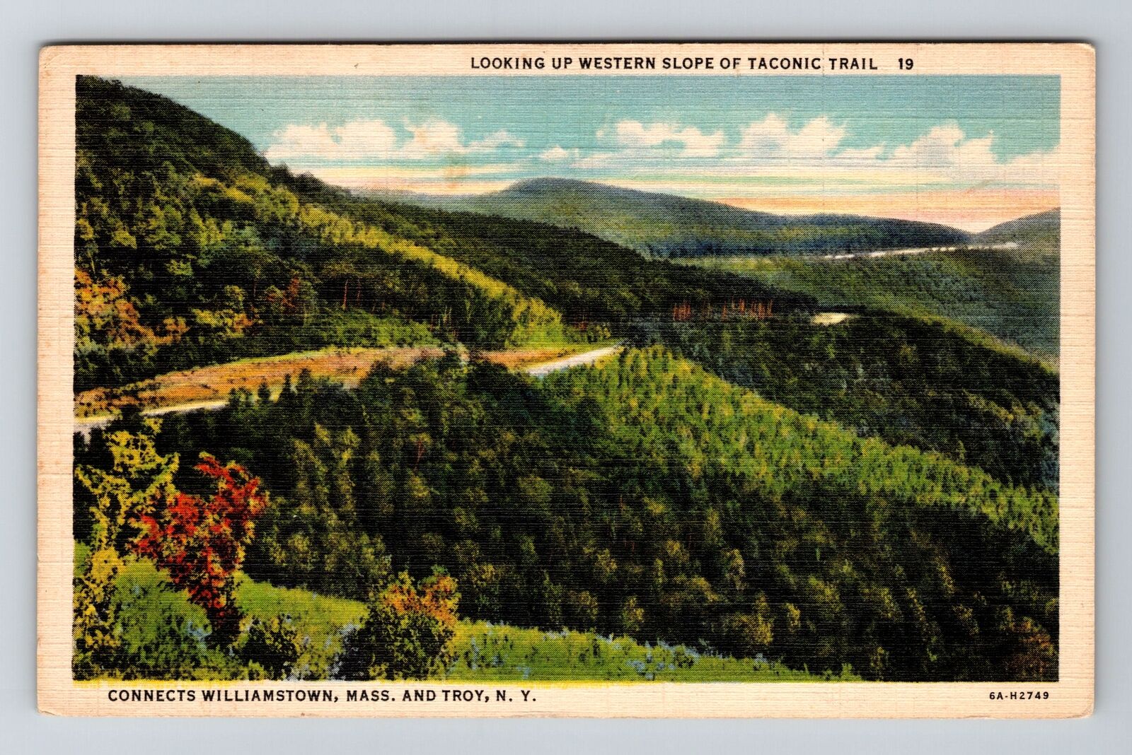 Taconic Trail NY-New York, Looking up Western Slope, Antique Vintage Postcard