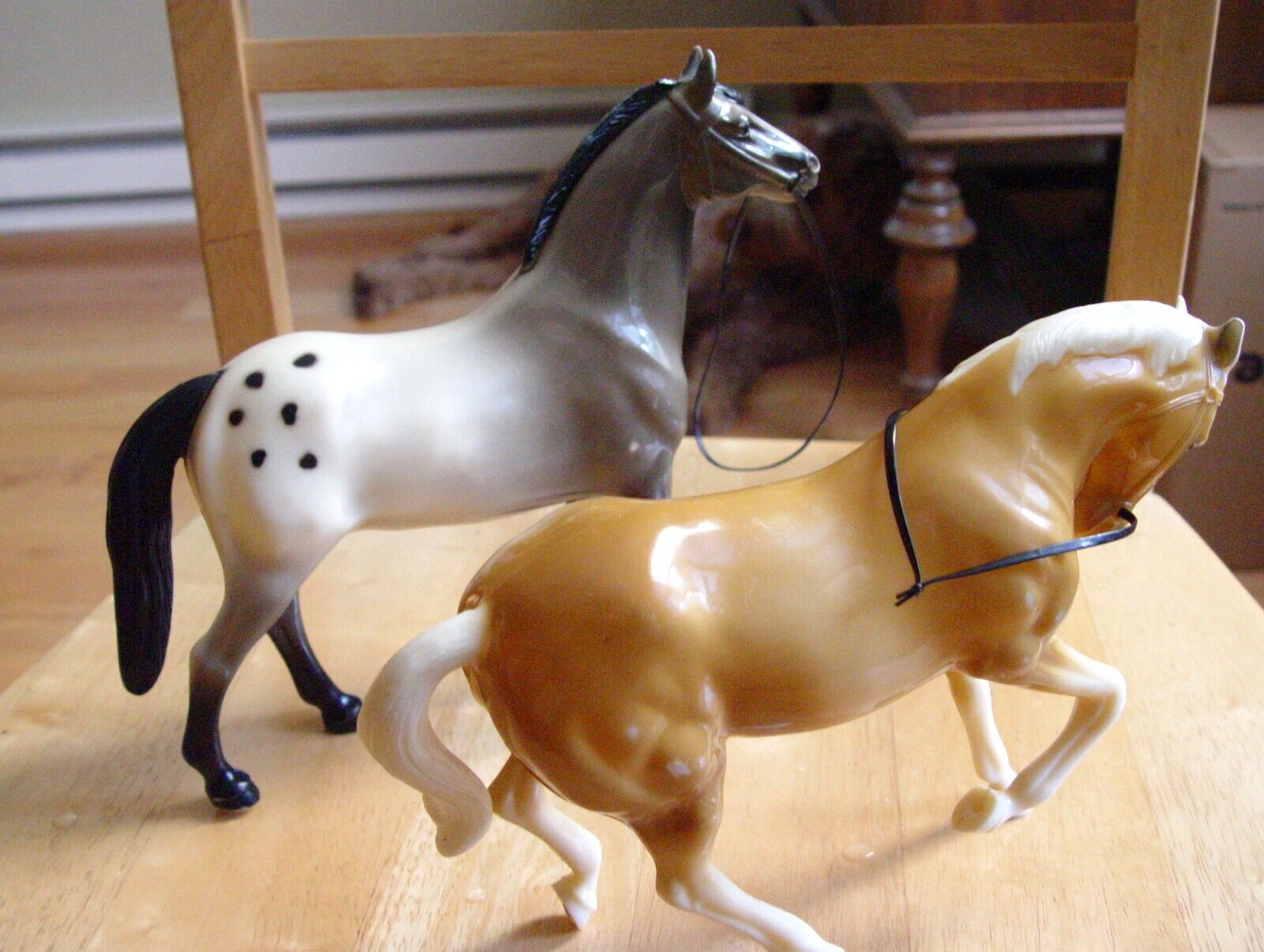 Hartland Arabian Horses