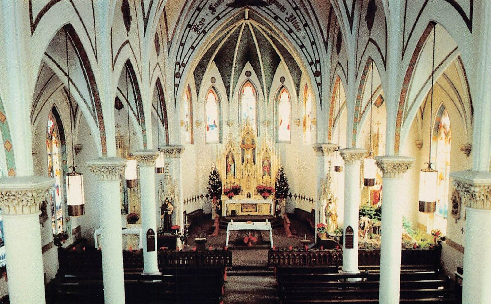 Fredericksburg TX Texas St Marys Catholic Church Interior Altar Vtg Postcard B14