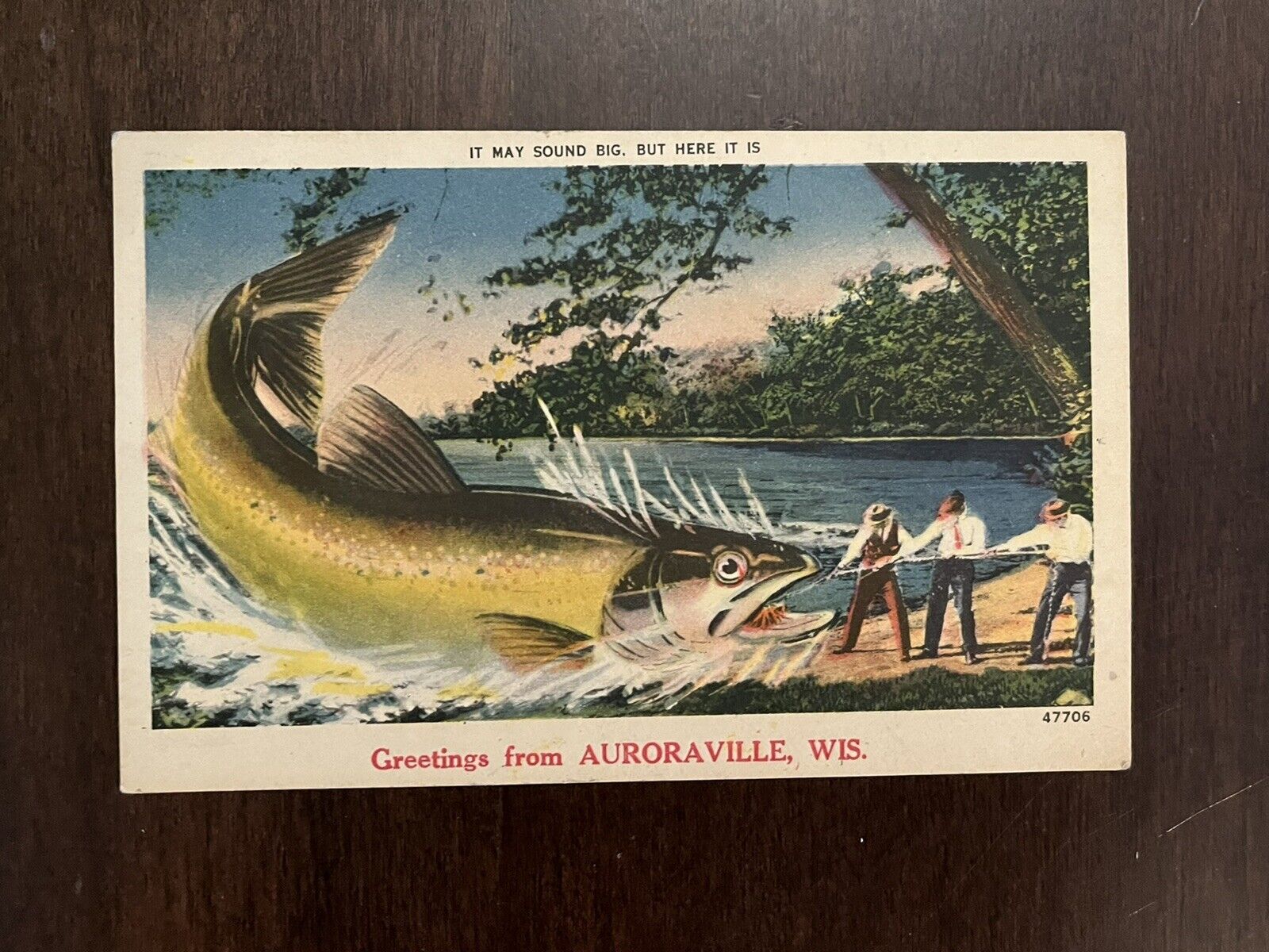 Postcard Fishing Auroraville Wisconsin Exaggeration Vintage PC Humor Comedy